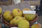 Reinette du Vigan apples.