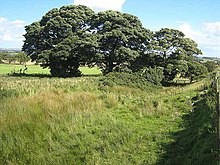 The south moat near the Portgate passageway