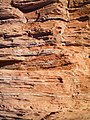 Layers of sedimentary rock