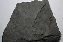 View of layered surfaces of a Jurassic black mudstone, the so-called Posidonienschiefer, with imprints of fossil shells. Found at Holzmaden (width of the handpiece about 11 cm).