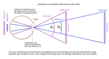 Subjective perception of size as a function of the angle of vision