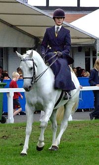 Kvinde rider i en moderne engelsk sidesaddle-klasse.  