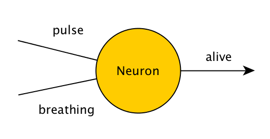 Single neuron which takes the values of pulse (true/false) and breathing (true/false), and outputs value of alive (true/false).