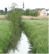 Syre river near Schuttrange, Luxembourg