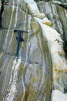 Gneiss balisé avec digue d'orthogneiss granitique.