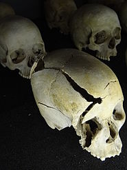 Skulls of the Kigali school massacre victims