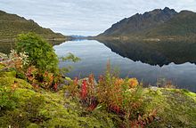 Nature on Austvågøya