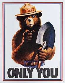 El oso Smokey  