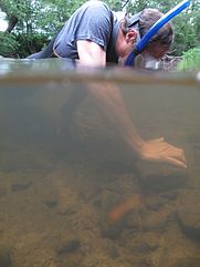 Snorkelen
