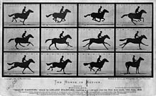 1878 m. Muybridge'o fotografijos "Judantis arklys" buvo panaudotos siekiant atsakyti į klausimą, ar visos keturios šuoliuojančio arklio kojos vienu metu atsiplėšia nuo žemės. Tai įrodo, kad fotografija buvo naudojama kaip eksperimentinė mokslo priemonė.