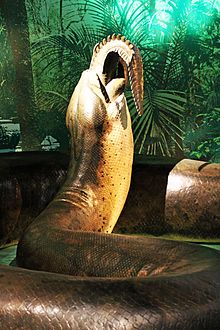 Titanoboa na wystawie w Waszyngtonie.