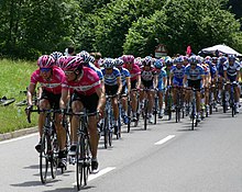 Het Peloton (betekent "peloton" in het Frans) van de Tour de France