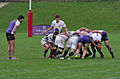 Rugby