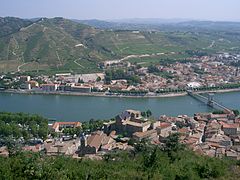 Vineyards of Tournon-sur-Rhône.