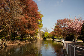 Fluss Wandle bei Carshalton
