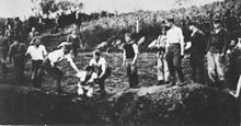 Ustašovské milície popravujú ľudí nad masovým hrobom neďaleko koncentračného tábora Jasenovac.