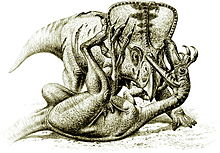 Fight between dinosaurs