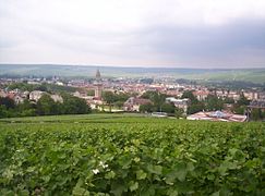 Vineyards near Epernay