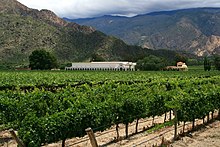 Salta