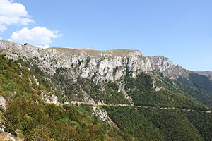 Vlašić-bjerget