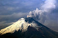 Cotopaxi