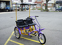 Tandem trike Team Dual by Worksman Cycles