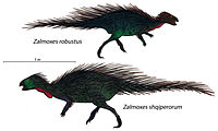 Zalmoxes robustus rekonstrukcija. Šio dinozauro fosilijų, datuojamų viršutine kreida, rasta Haţeg regione.