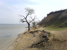 On the shore of the Jalpuhsee (2008)